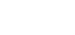 Vife Logo